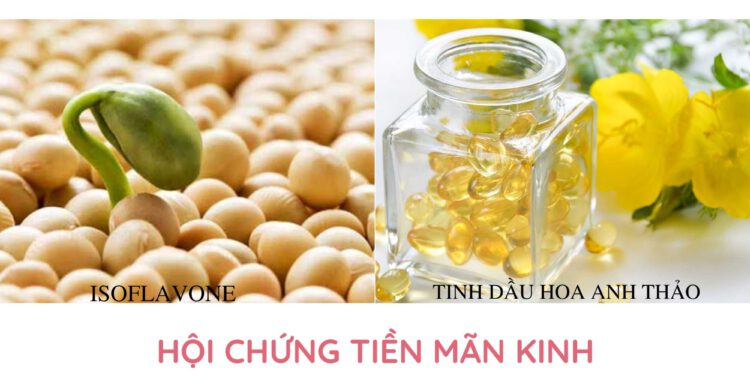 isoflavon hay tinh dầu hoa anh thảo