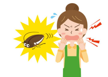 Tiểu Cường ghé thăm