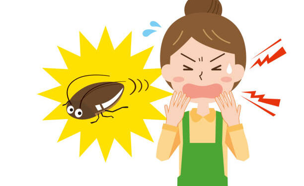 Tiểu Cường ghé thăm 1 Tiểu Cường ghé thăm